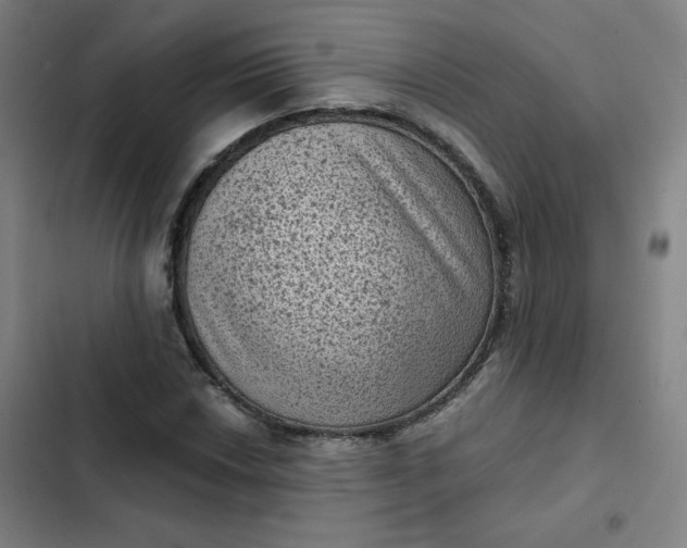 X0000102461018200808221614