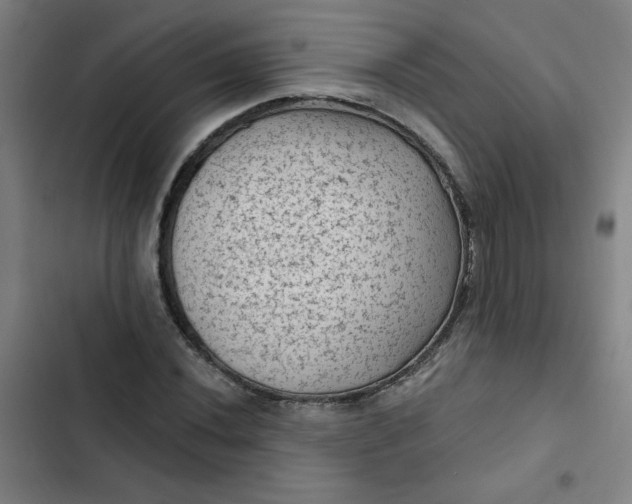 X0000102461020200808221614