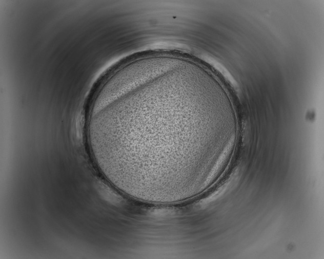 X0000102461021200808221614