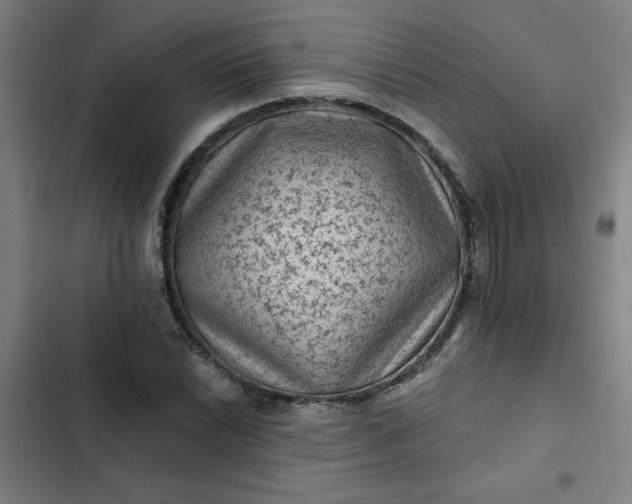 X0000102461022200808221614