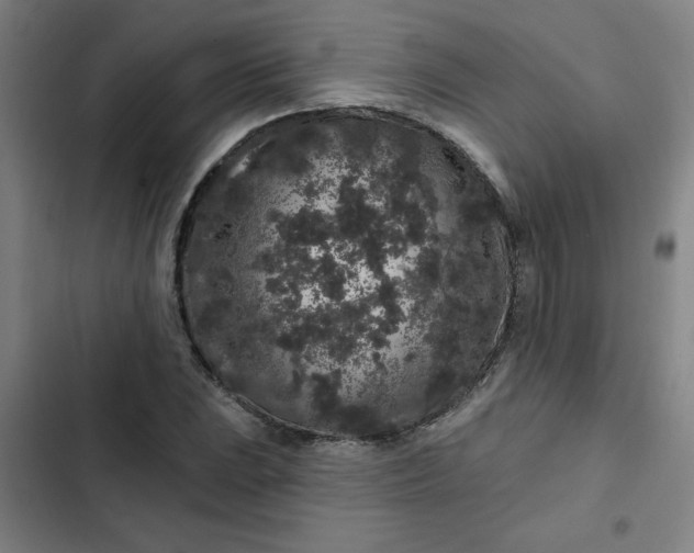 X0000102461023200808221614