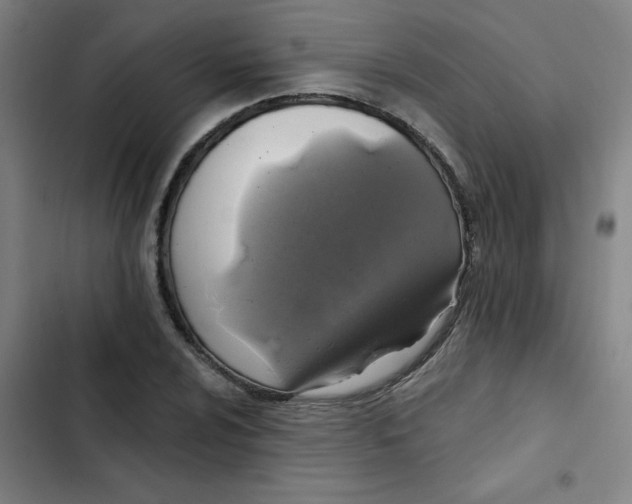 X0000102461024200808221614