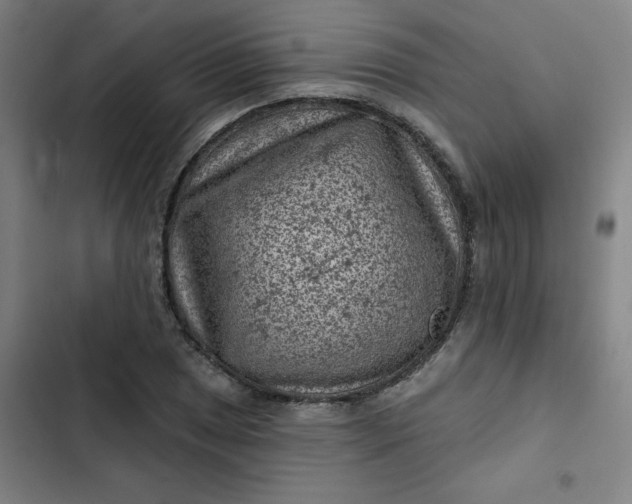 X0000102461025200808221614