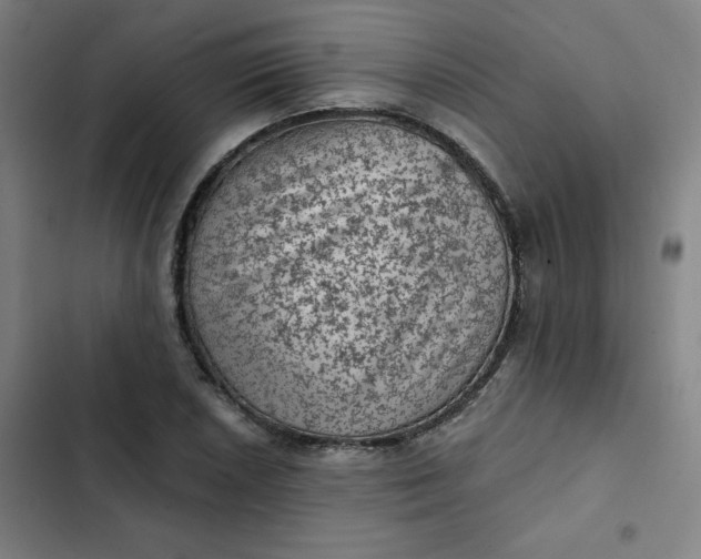 X0000102461026200808221614