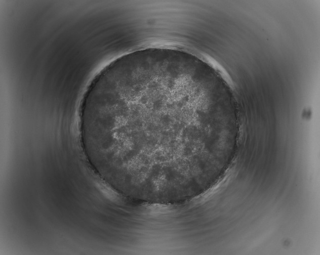 X0000102461027200808221614