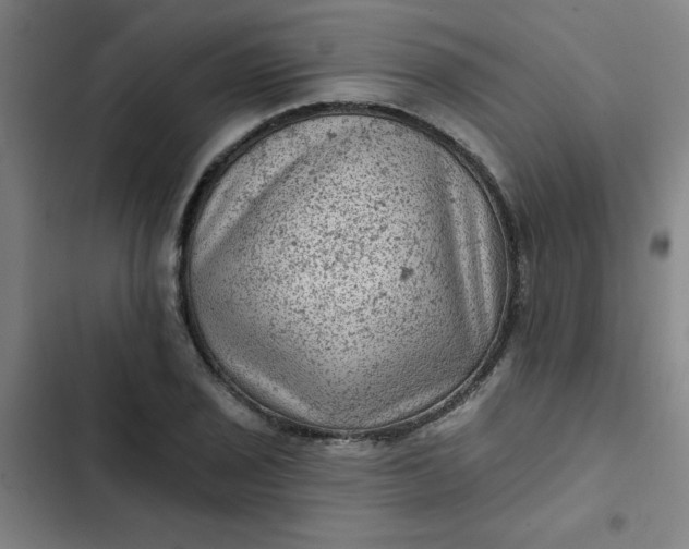 X0000102461029200808221614