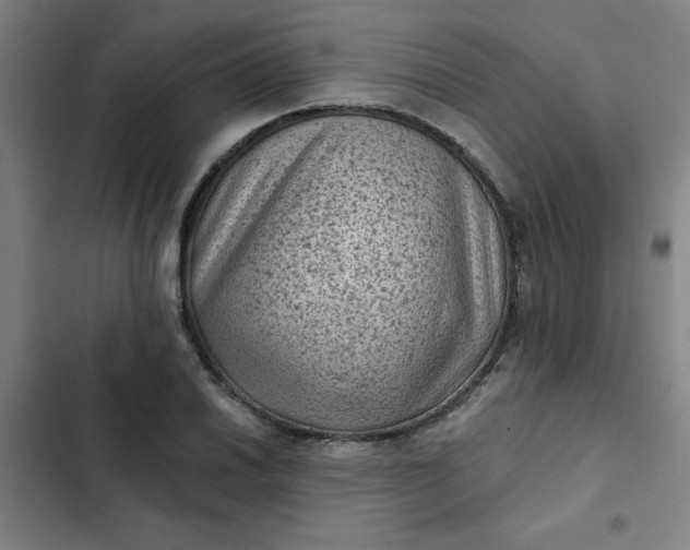 X0000102461030200808221614