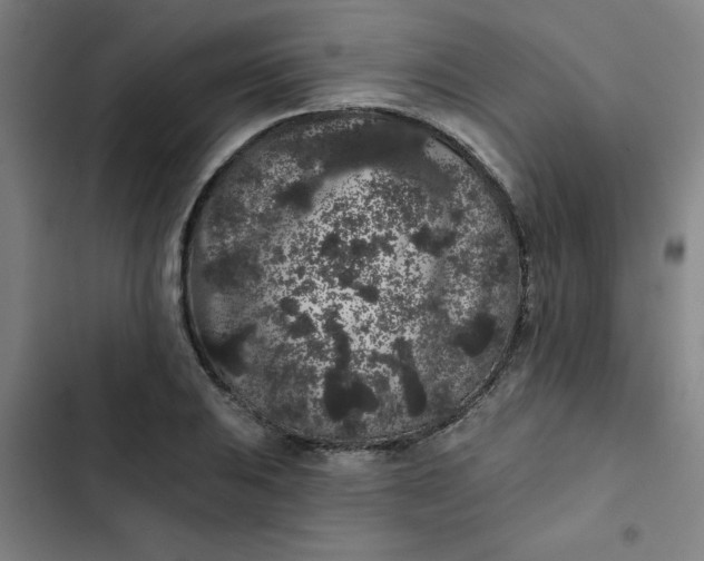 X0000102461031200808221614