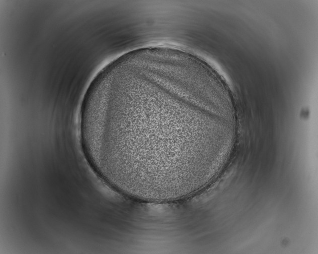 X0000102461032200808221614