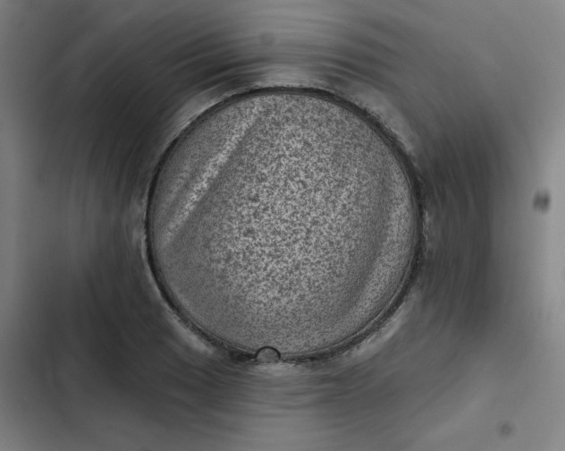 X0000102461033200808221614