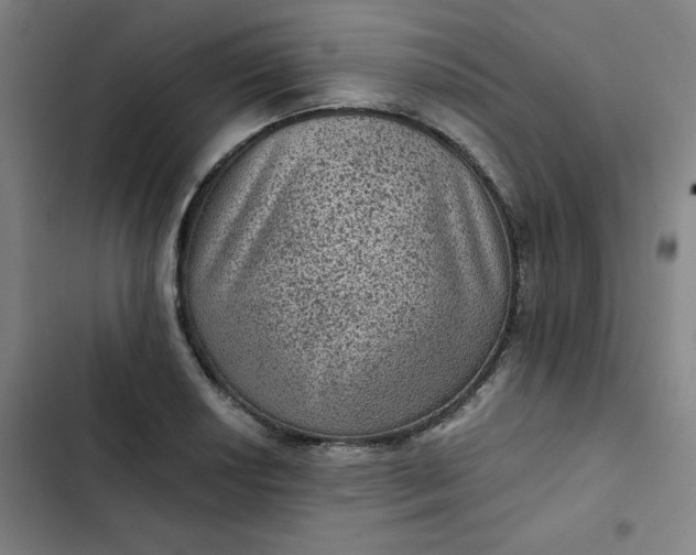 X0000102461034200808221614