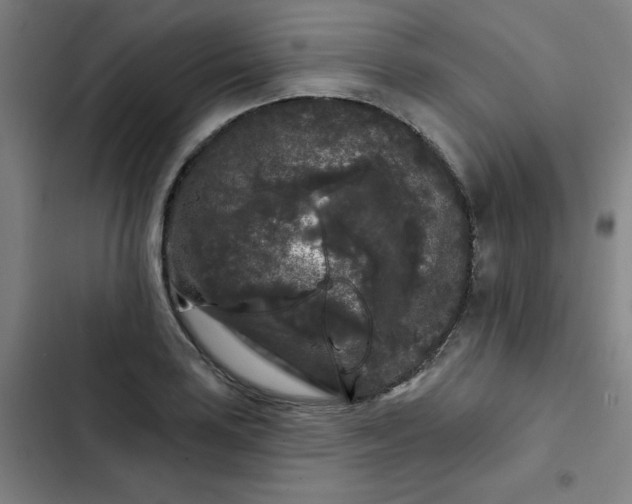 X0000102461035200808221614