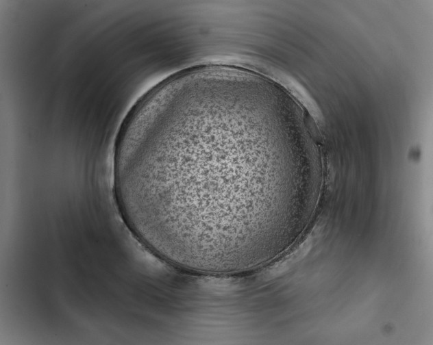 X0000102461036200808221614