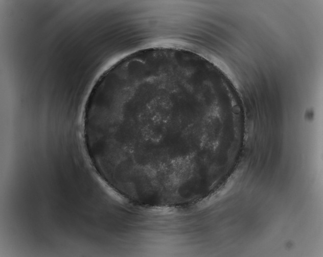 X0000102461037200808221614