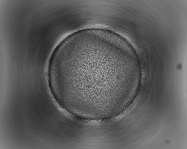 X0000102461038200808221614