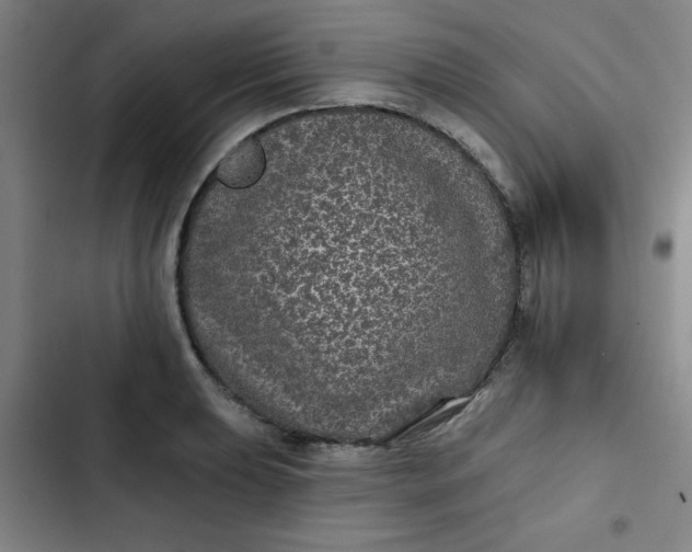 X0000102461039200808221614