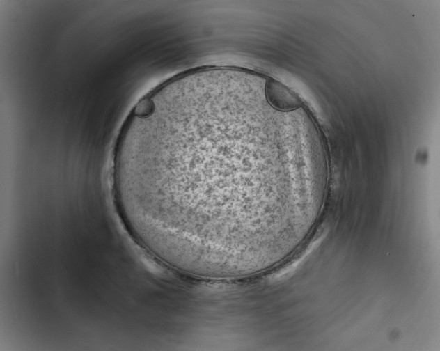 X0000102461040200808221614