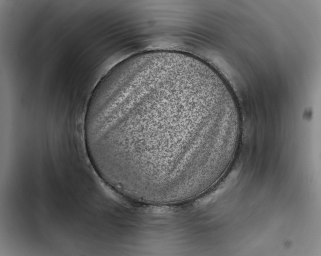 X0000102461041200808221614