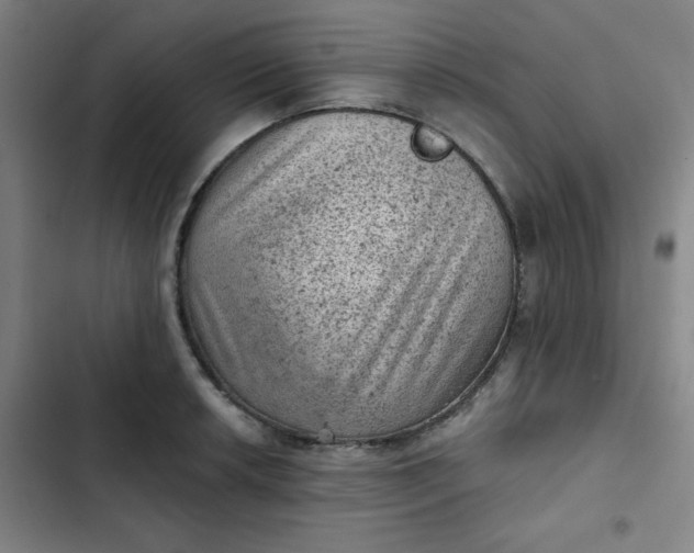 X0000102461042200808221614