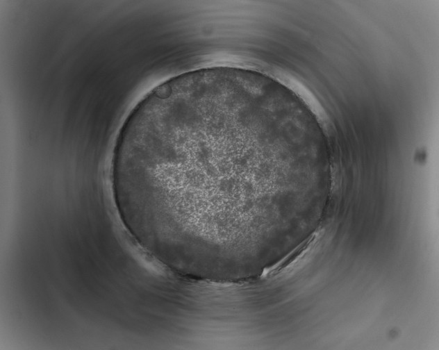 X0000102461043200808221614