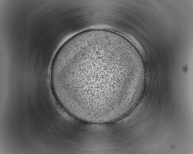 X0000102461044200808221614