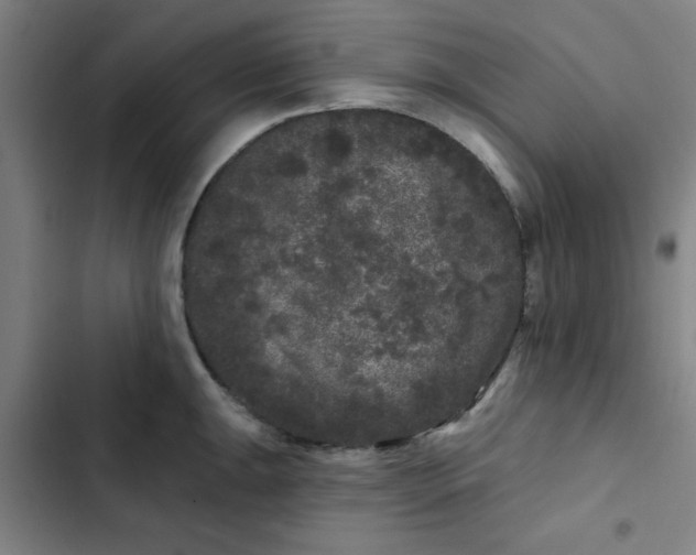 X0000102461047200808221614