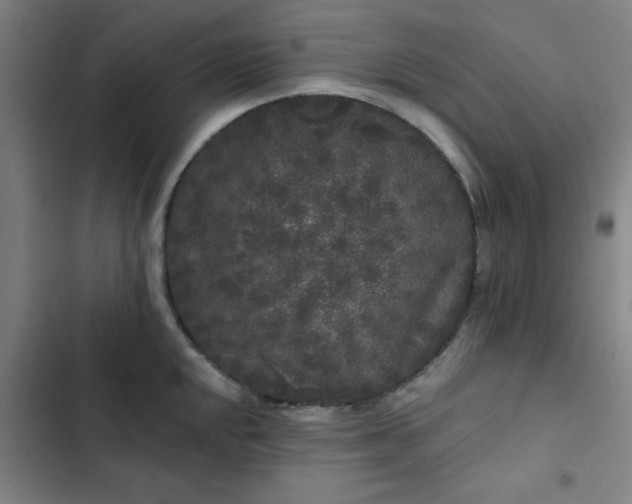 X0000102461048200808221614