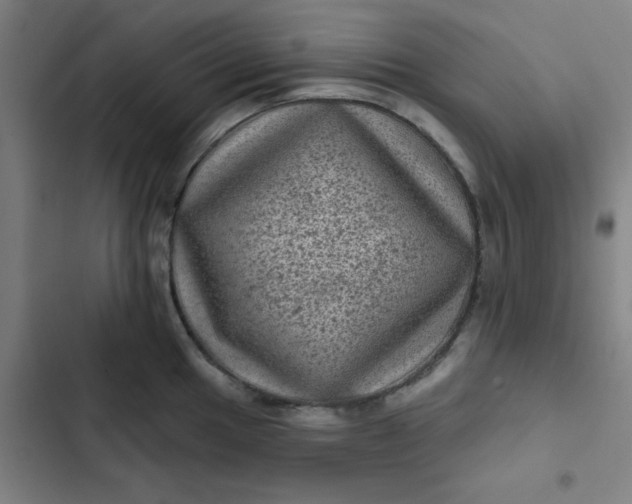 X0000102461049200808221614