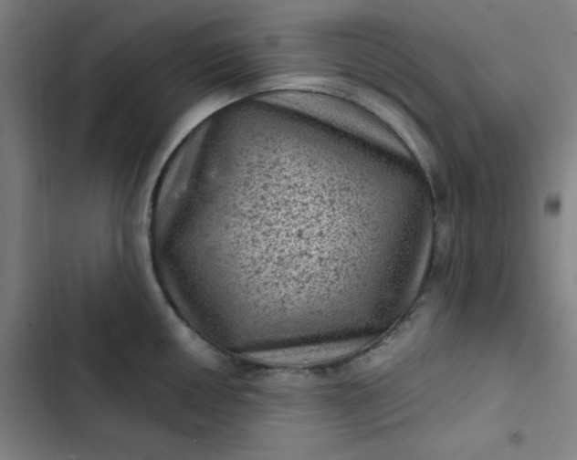 X0000102461050200808221614