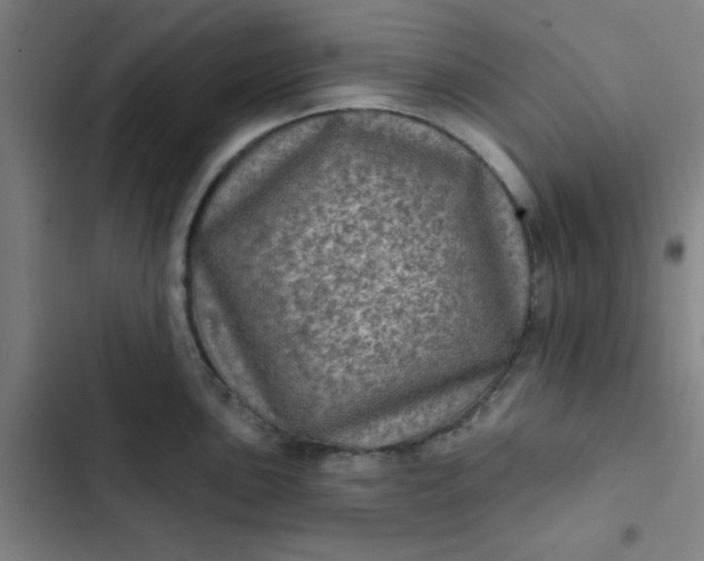 X0000102461051200808221614