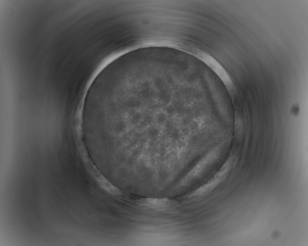 X0000102461052200808221614