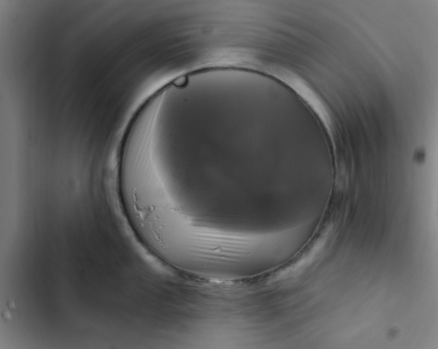 X0000102461053200808221614