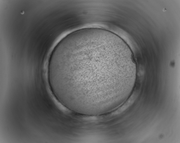 X0000102461054200808221614