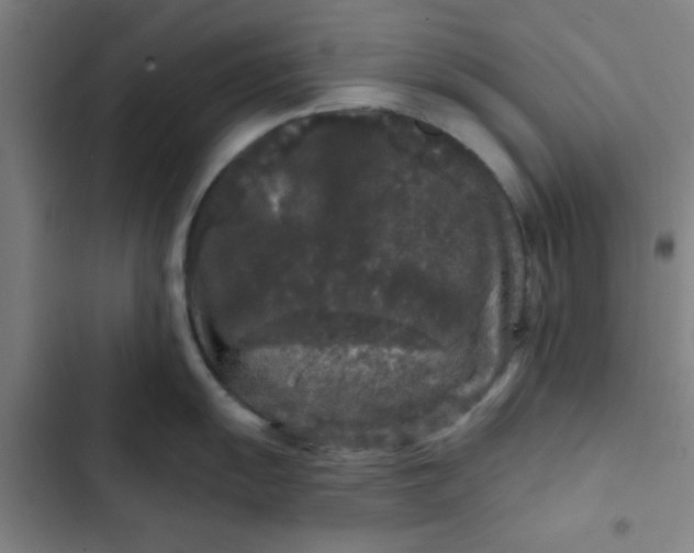 X0000102461055200808221614