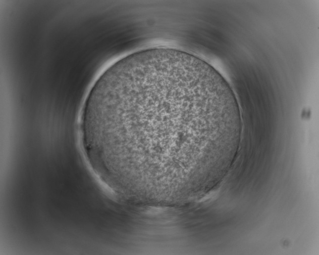 X0000102461056200808221614