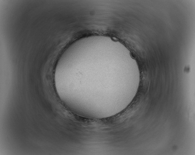 X0000102461057200808221614