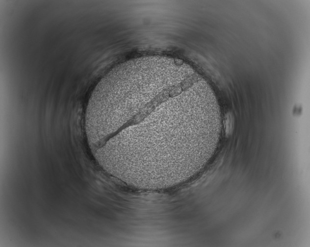 X0000102461059200808221614