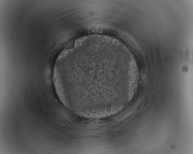 X0000102461060200808221614