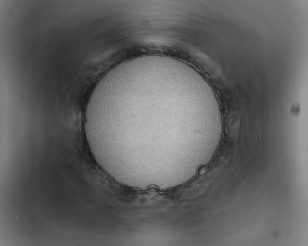 X0000102461061200808221614