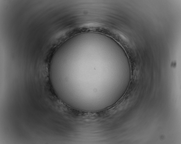 X0000102461062200808221614