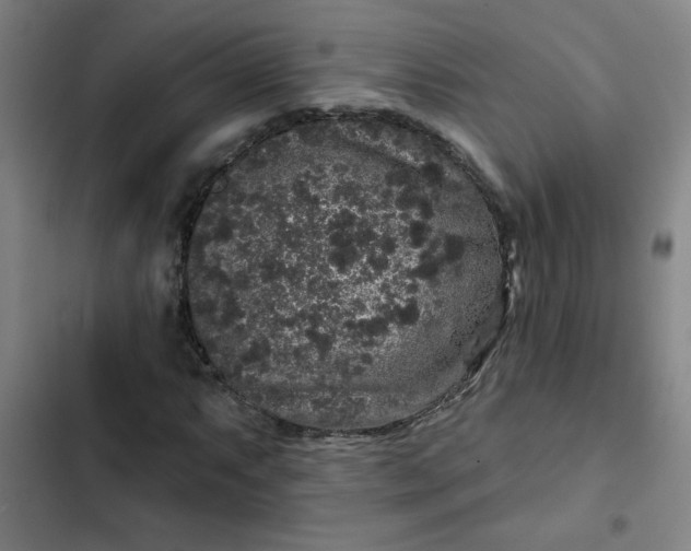 X0000102461063200808221614