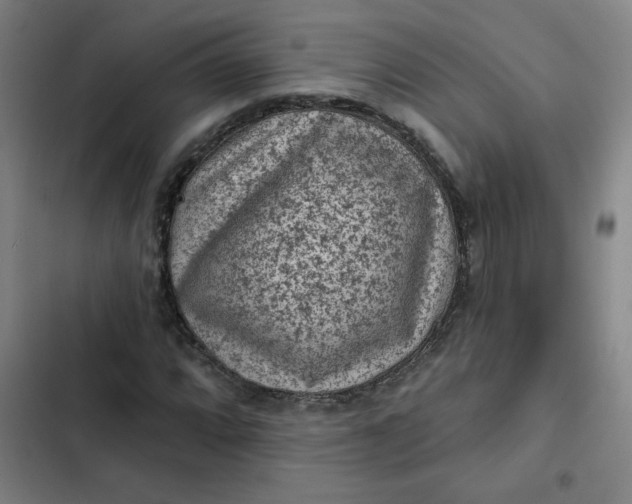 X0000102461064200808221614