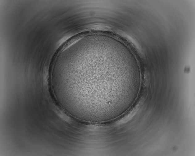 X0000102461065200808221614