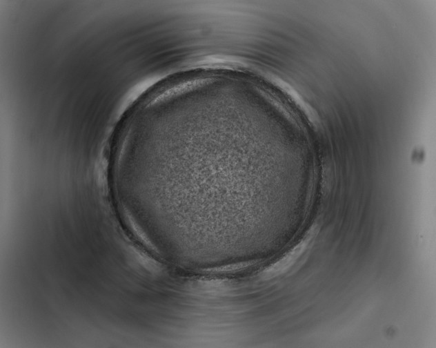 X0000102461066200808221614