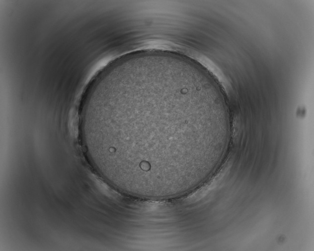 X0000102461067200808221614