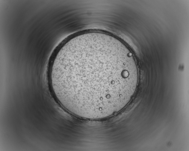 X0000102461068200808221614