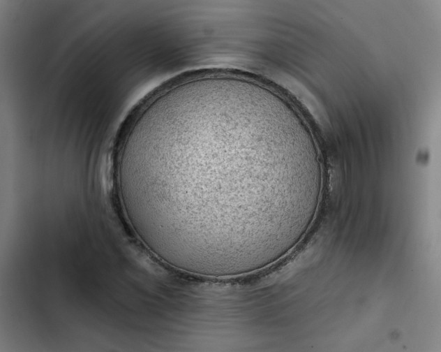 X0000102461069200808221614