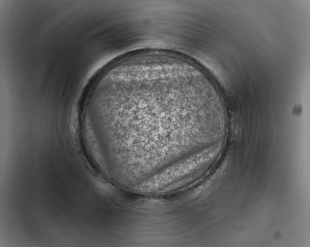 X0000102461070200808221614