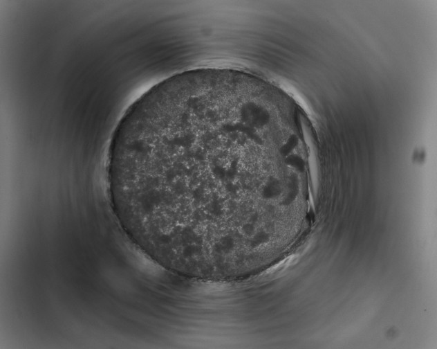 X0000102461071200808221614