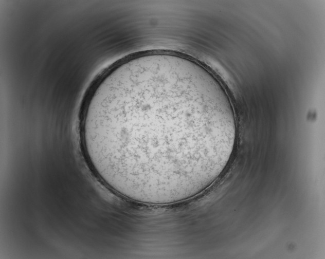 X0000102461072200808221614